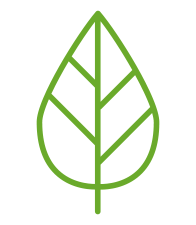 pierce-env-friendly-leaf